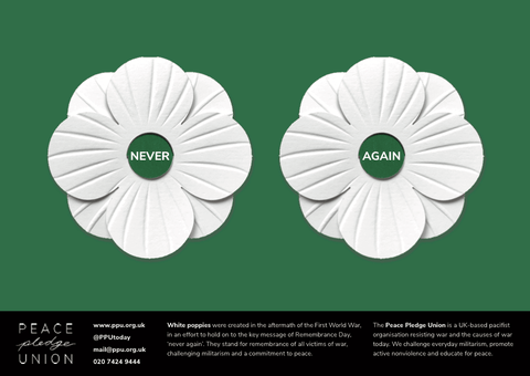 Never Again (A3 White Poppy Poster)