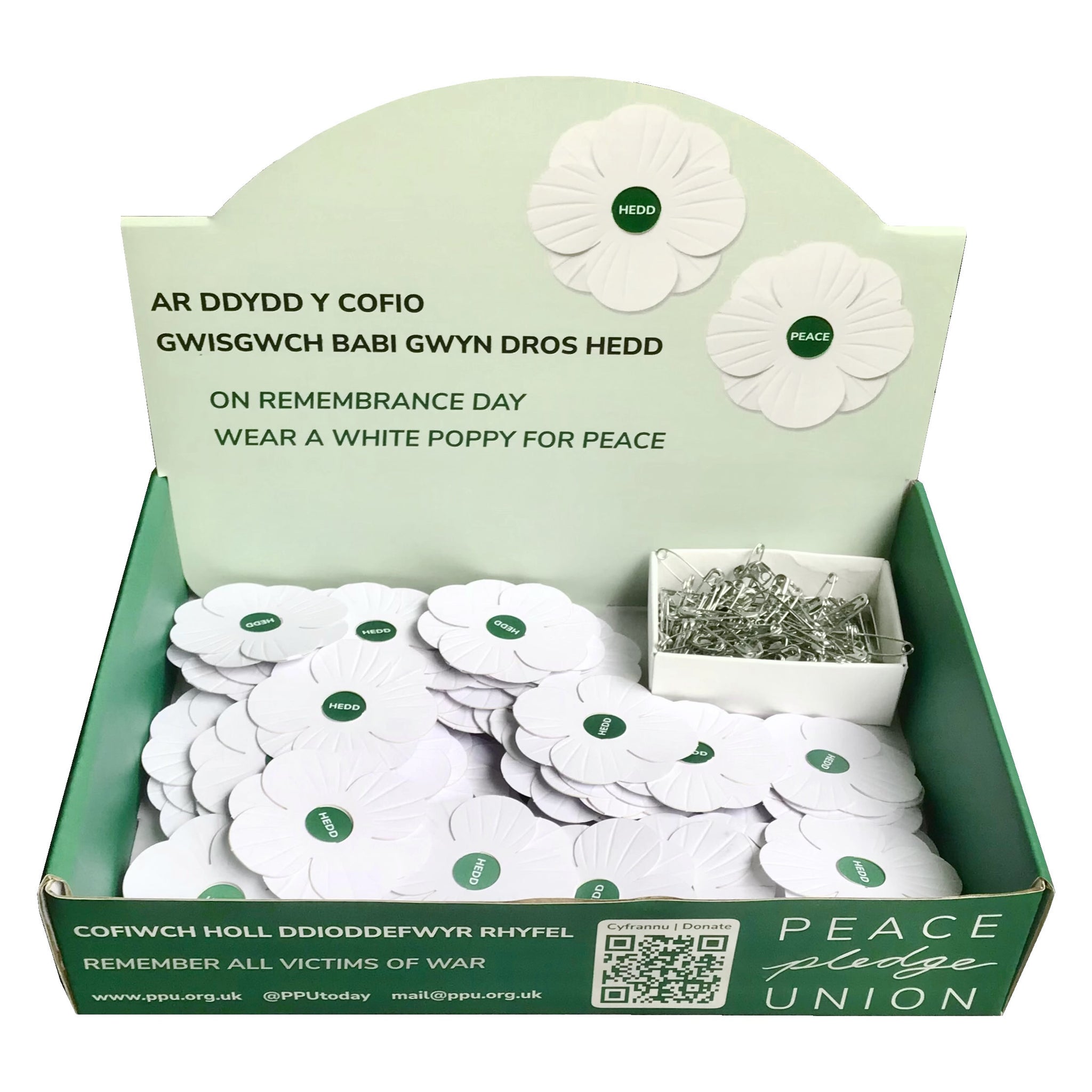 Bocs Arddangos – 100 o Pabis Gwyn (Welsh white poppies)
