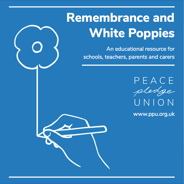 White Poppies Education Pack (Box of 100 with extra materials)