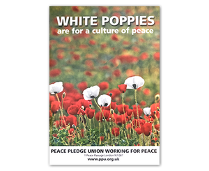 White Poppies (A3 Poster)