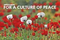 For a Culture of Peace (Postcards x5)